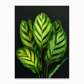 Green Leaves On Black Background Canvas Print