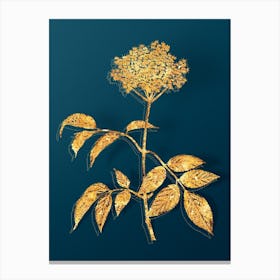 Vintage Elderflower Tree Botanical in Gold on Teal Blue n.0150 Canvas Print