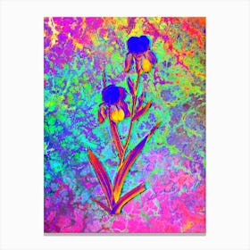 Elder Scented Iris Botanical in Acid Neon Pink Green and Blue n.0349 Canvas Print
