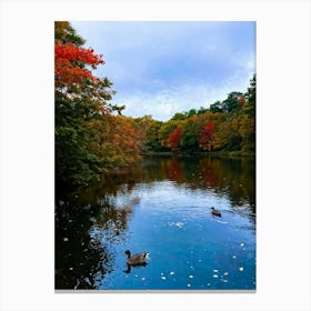 An Autumn Inspired Digital Painting Of A Placid Duck Pond In A Park Surrounded By Vibrant Spruce Tre Canvas Print