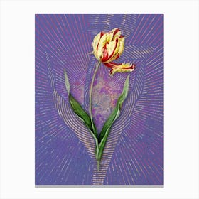 Vintage Didier's Tulip Botanical Illustration on Veri Peri n.0114 Canvas Print