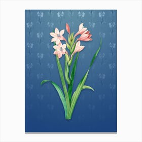 Vintage Gladiolus Saccatus Botanical on Bahama Blue Pattern n.0620 Canvas Print
