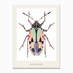 Colourful Insect Illustration Boxelder Bug 10 Poster Canvas Print