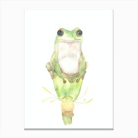 Frog On The Lotus Canvas Print