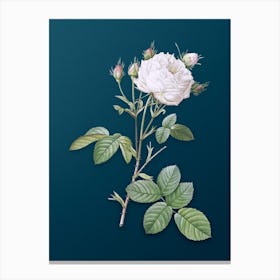 Vintage White Provence Rose Botanical Art on Teal Blue n.0571 Canvas Print