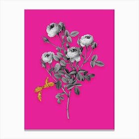 Vintage Burgundian Rose Black and White Gold Leaf Floral Art on Hot Pink n.0493 Canvas Print
