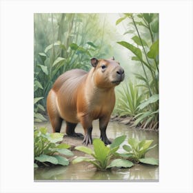 Capybara 1 Canvas Print