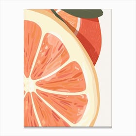Grapefruits Close Up Illustration 2 Canvas Print