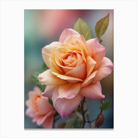 Peach Roses Canvas Print