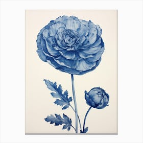 Blue Botanical Ranunculus 3 Canvas Print