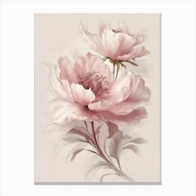 Peonies 11 Canvas Print