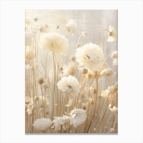 Boho Dried Flowers Scabiosa 4 Canvas Print