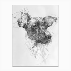 American Hairless Terrier Charcoal Line Canvas Print