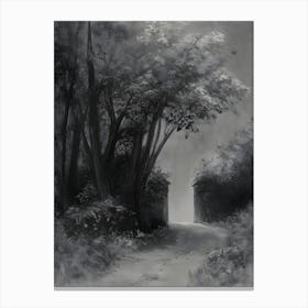 Path In The Woods Canvas Print