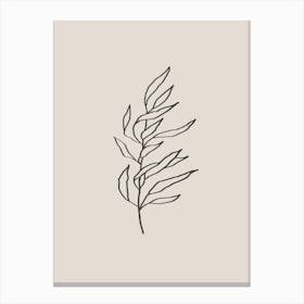 Plant Line Art No 394b Canvas Print