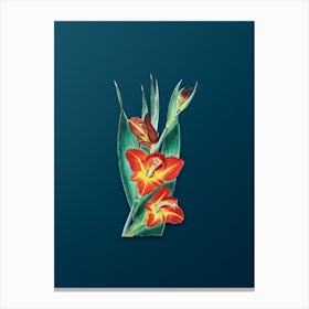 Vintage Parrot Gladiole Flower Botanical Art on Teal Blue n.0014 Canvas Print