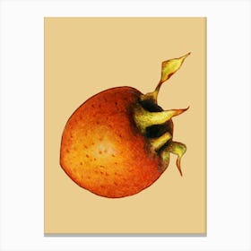 Pomegranate 11 Canvas Print