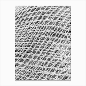 Black And White Image Of A Net Canvas Print