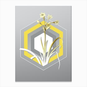 Botanical Crytanthus Vittatus in Yellow and Gray Gradient n.334 Canvas Print
