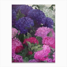 Hydrangeas 2 Canvas Print