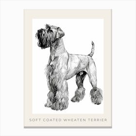 Soft Coated Wheaten Terrier Dog Line Sketch 2 Poster Canvas Print