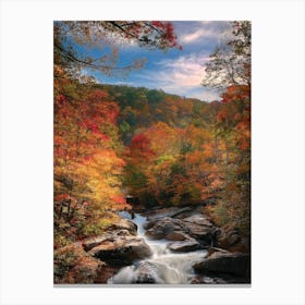 Fall In The Smoky Mountains 1 Canvas Print