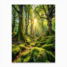 Mystical Forest Clearing Description A Sun Dappl Canvas Print