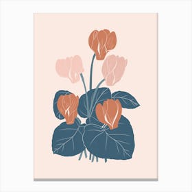 Cyclamen Flower Canvas Print