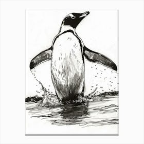 Emperor Penguin Hauling Out Of The Water 3 Canvas Print