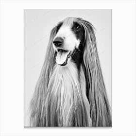 Afghan Hound 2 B&W Pencil dog Canvas Print