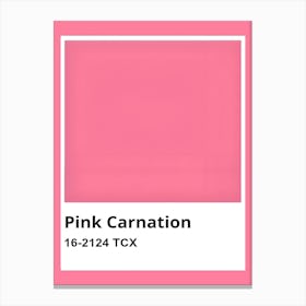 Pink Carnation Canvas Print