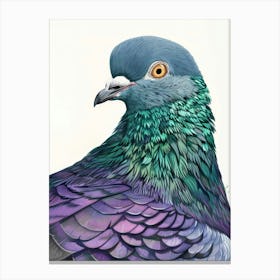 Pigeon 13 Canvas Print