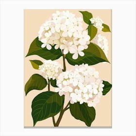 Hydrangea 13 Canvas Print