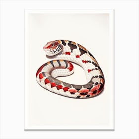 Milk Snake 1 Vintage Canvas Print