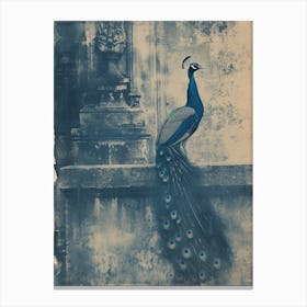 Peacock In A Church Abbey Cyanotype Inspired 1 Canvas Print