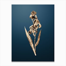 Gold Botanical Dalmatian Iris on Dusk Blue n.2411 Canvas Print