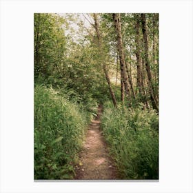 Mellow Trail Canvas Print