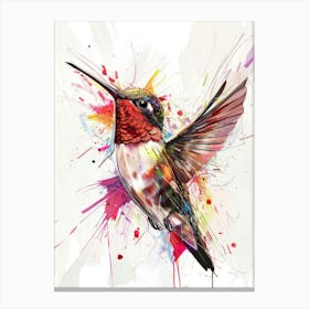 Hummingbird 10 Canvas Print