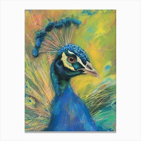 Loose Lines Portrait Of A Peacock 1 Canvas Print