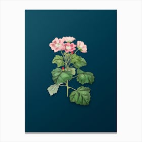 Vintage Rhomb Leaved Palavia Flower Botanical Art on Teal Blue n.0956 Canvas Print
