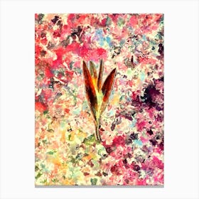 Impressionist Autumn Crocus Botanical Painting in Blush Pink and Gold Canvas Print