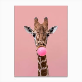 Giraffe Chewing Gum Canvas Print 2 Canvas Print
