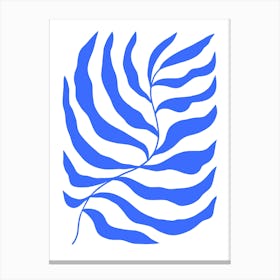 Zebra Leaf Canvas Print