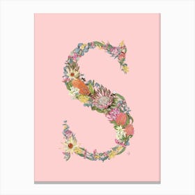 S Pink Alphabet Letter Canvas Print