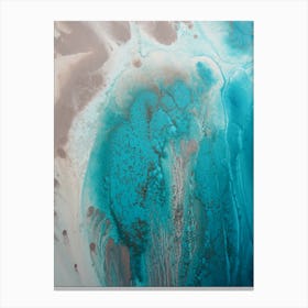 Coral Sea Flow1 3 Canvas Print