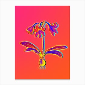 Neon Netted Veined Amaryllis Botanical in Hot Pink and Electric Blue n.0051 Canvas Print