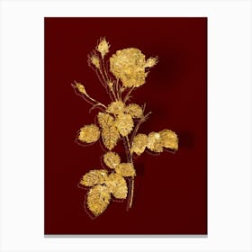 Vintage Provence Rose Botanical in Gold on Red n.0551 Canvas Print