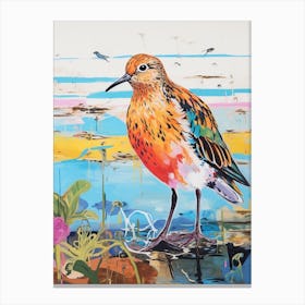 Colourful Bird Painting Dunlin 3 Canvas Print