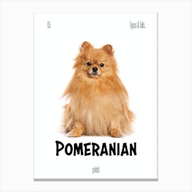 Pomeranian - Dog - Polish - Typography - Art Print - Retro - Canine - White & Black - Minimalist  Canvas Print