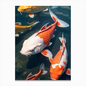 Koi Fish Painting (6) Canvas Print